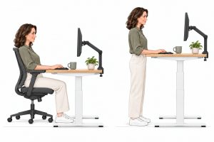 Même poste de travail utilisé en position assise puis en position debout